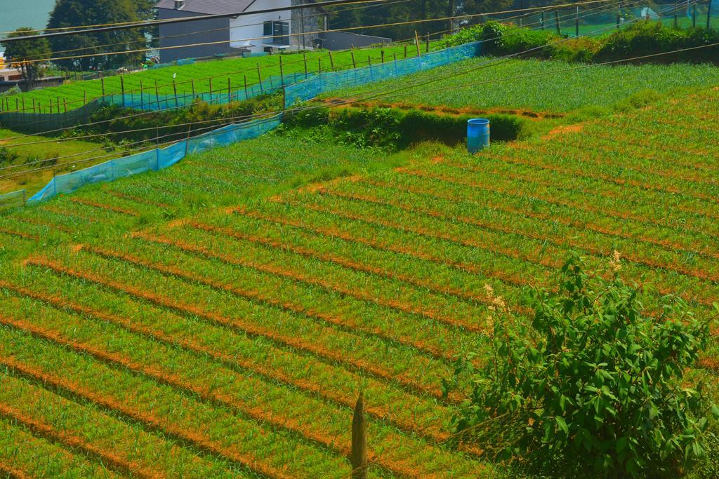 Guest House Hill Paradise Nuwara Eliya Esterno foto